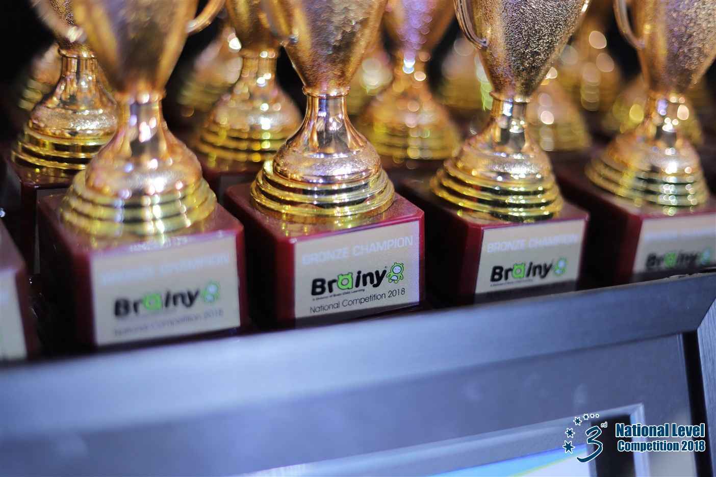 Brainy Trophy 2018