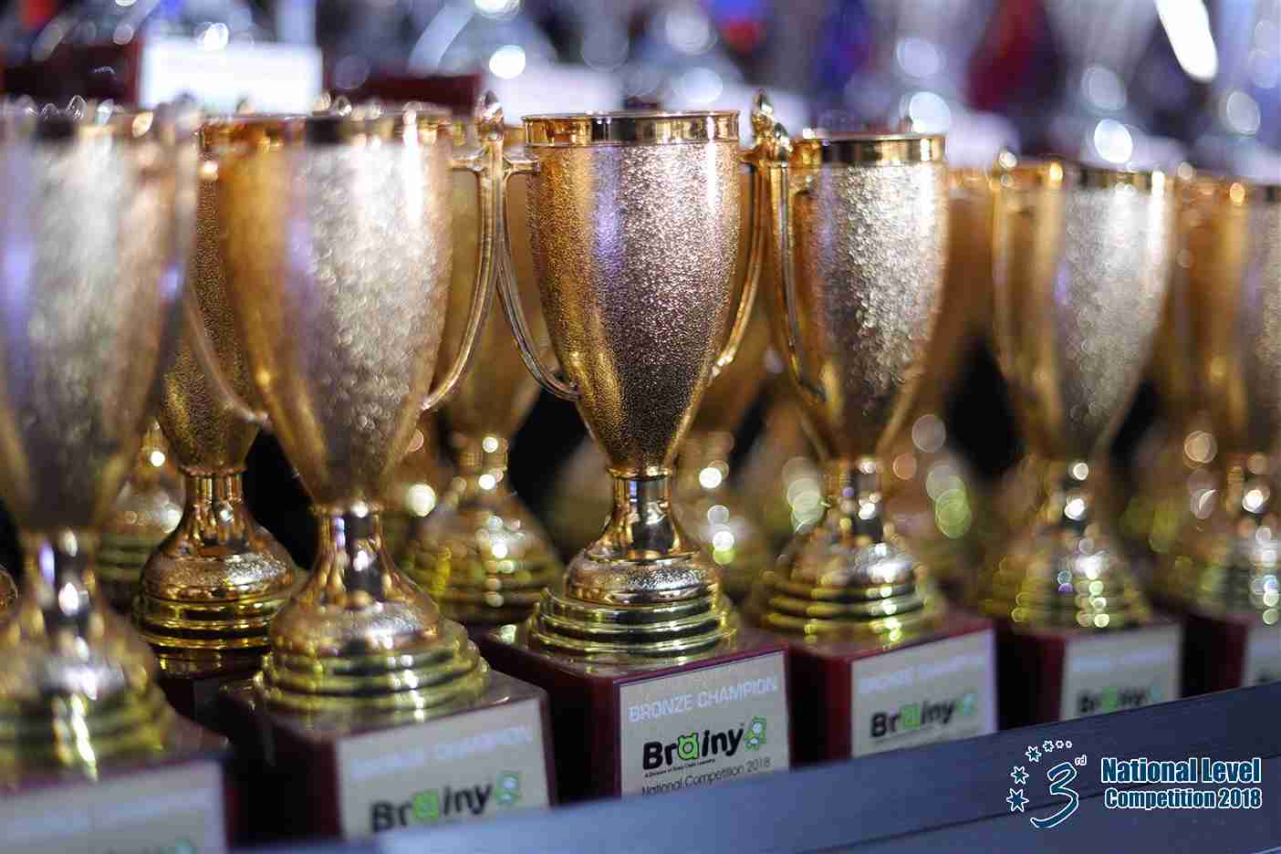 Brainy Trophy 2018