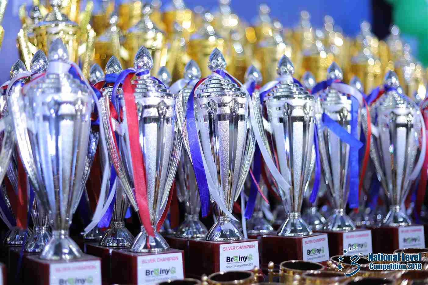 Brainy Trophy 2018